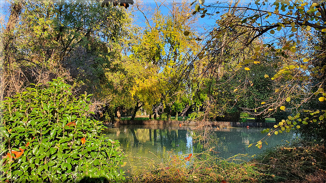 foto Parco Sebellin